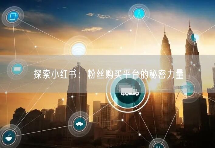 探索小红书：粉丝购买平台的秘密力量