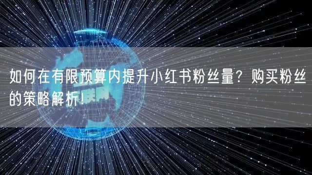 如何在有限预算内提升小红书粉丝量?购买粉丝的策略解析!