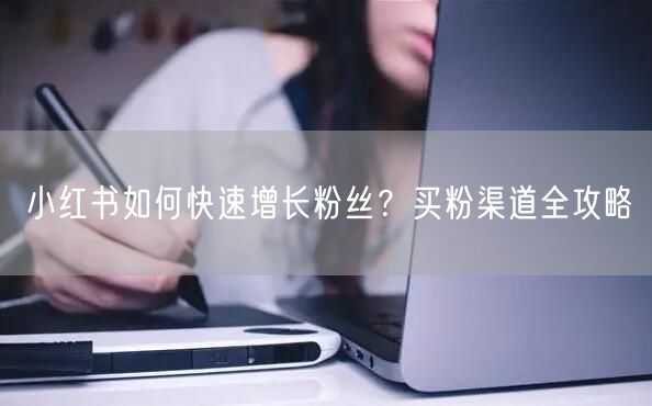 小红书如何快速增长粉丝？买粉渠道全攻略