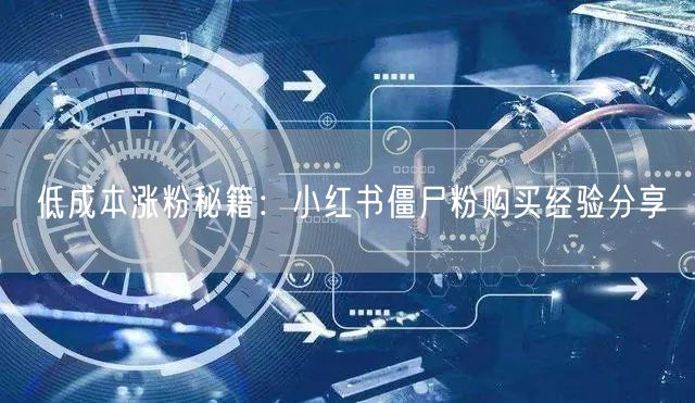 低成本涨粉秘籍：小红书僵尸粉购买经验分享