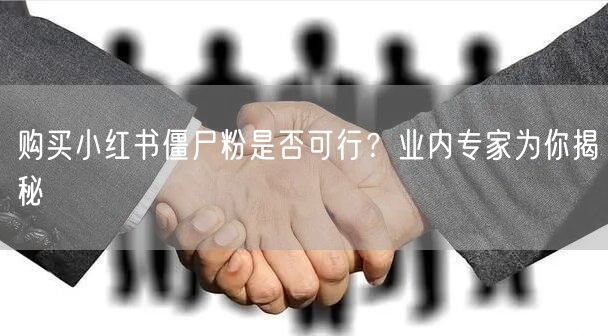 购买小红书僵尸粉是否可行？业内专家为你揭秘