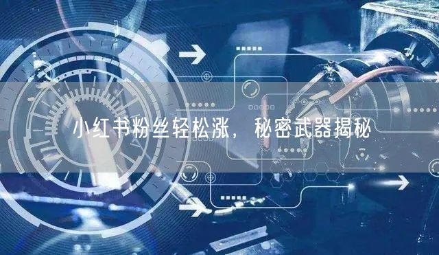 小红书粉丝轻松涨，秘密武器揭秘