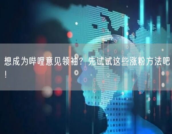 想成为哔哩意见领袖？先试试这些涨粉方法吧！