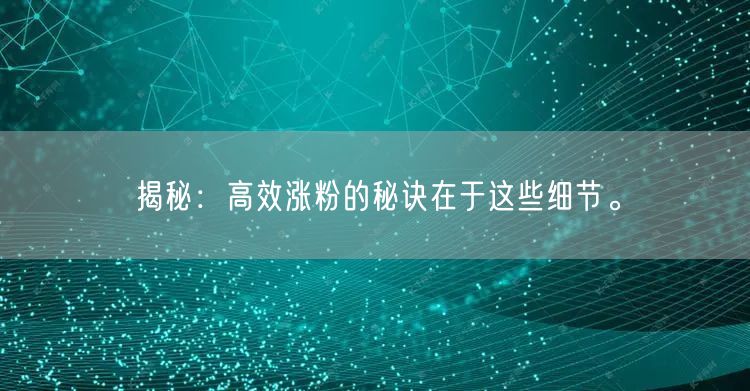 揭秘：高效涨粉的秘诀在于这些细节。