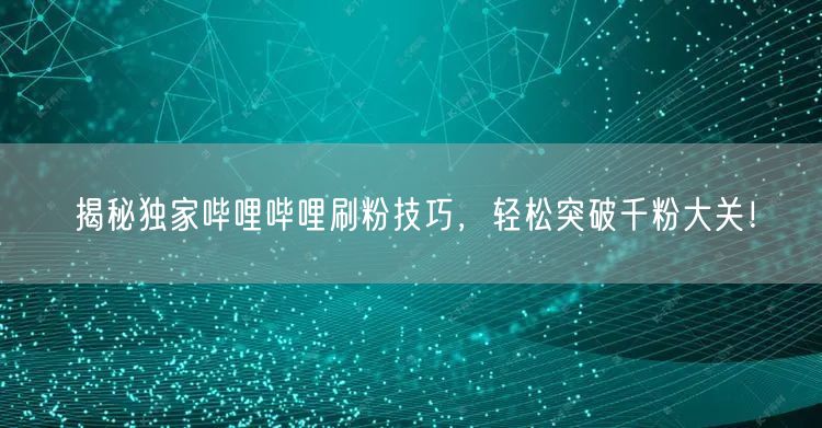 揭秘独家哔哩哔哩刷粉技巧，轻松突破千粉大关！