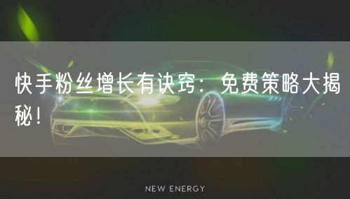 快手粉丝增长有诀窍:免费策略大揭秘!