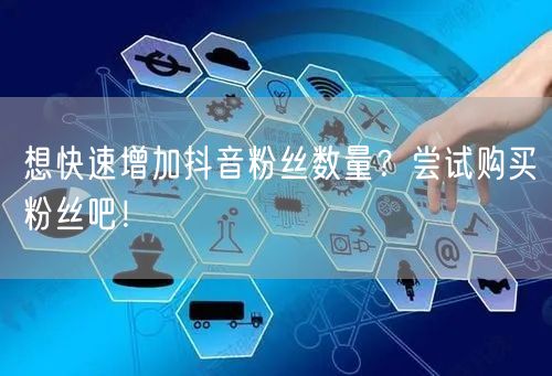 想快速增加抖音粉丝数量？尝试购买粉丝吧！